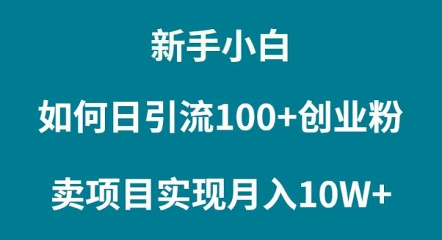 (9556期)新手小白如何通过卖项目实现月入10W+-大熊网创