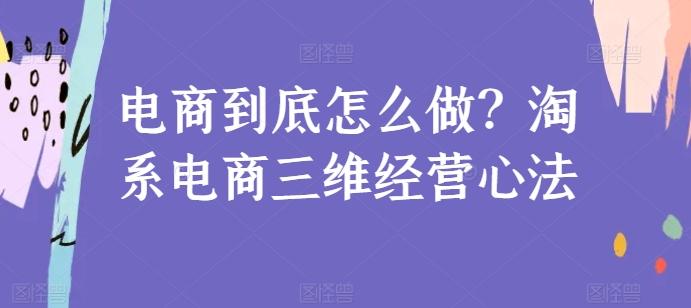 电商到底怎么做？淘系电商三维经营心法-大熊网创