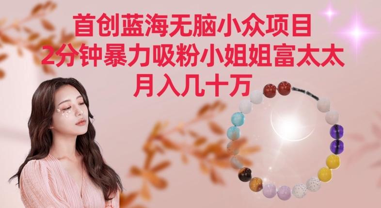 首创蓝海无脑小众项目，2分钟暴力吸粉小姐姐富太太，月入几十万【揭秘】-大熊网创