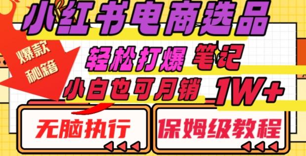 小红书电商爆款选品秘籍，帮你轻松打爆笔记，小白也可轻松月销10000+-大熊网创