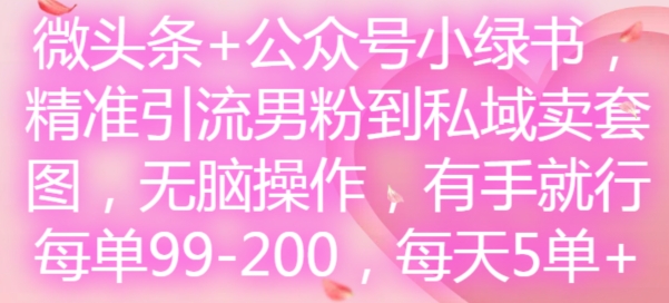 微头条+公众号小绿书，精准引流男粉到私域卖套图，无脑操作，有手就行，每单99-200，每天5单-大熊网创