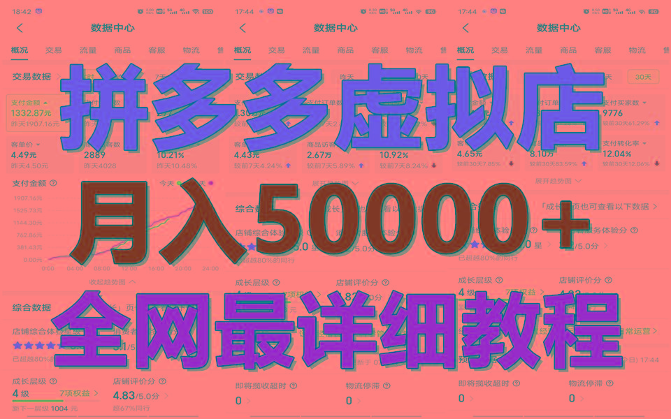 拼多多虚拟电商训练营月入50000+你也行，暴利稳定长久，副业首选-大熊网创