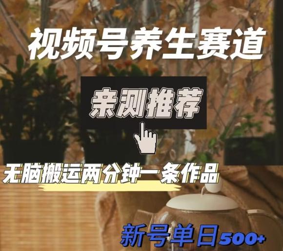 视频号养生赛道暴力掘金，无脑搬运，两分钟一条作品-新日单入500+-大熊网创