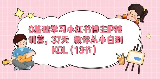 0基础学习小红书博主IP特训营，37天 教你从小白到KOL(13节-大熊网创