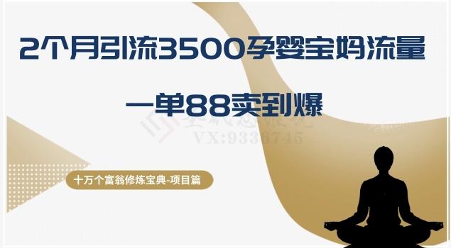 十万个富翁修炼宝典之13.2个月引流3500孕婴宝妈流量，一单88卖到爆-大熊网创