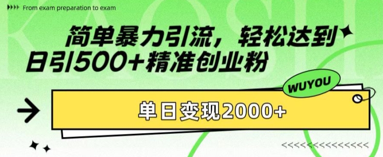 简单暴力引流，轻松达到日引500+精准创业粉，单日变现2k【揭秘】-大熊网创