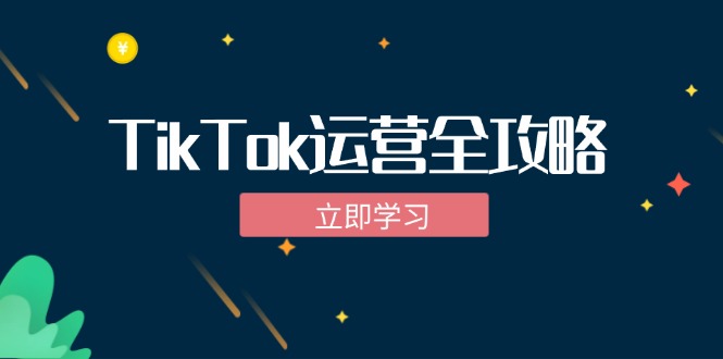 TikTok实战运营全攻略：从下载软件到变现，抖音海外版实操教程-大熊网创