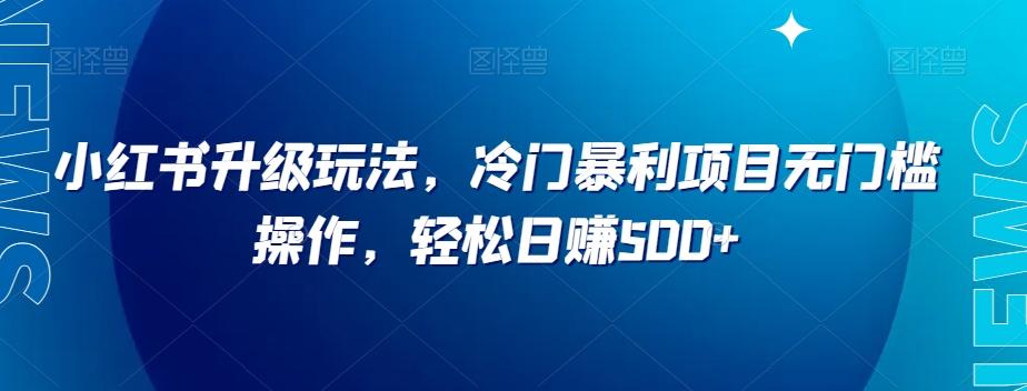 小红书升级玩法，冷门暴利项目无门槛操作，轻松日赚500+【揭秘】-大熊网创