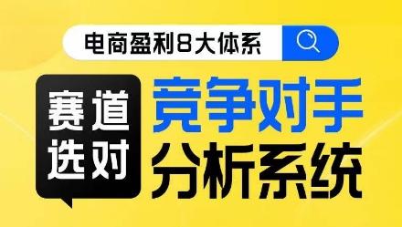 电商盈利8大体系·赛道选对，​竞争对手分析系统线上课-大熊网创
