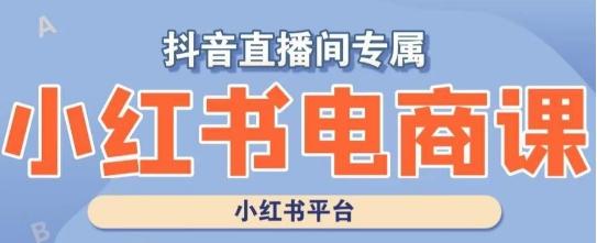 小红书电商高级运营课程，实操教学+案例分析-大熊网创