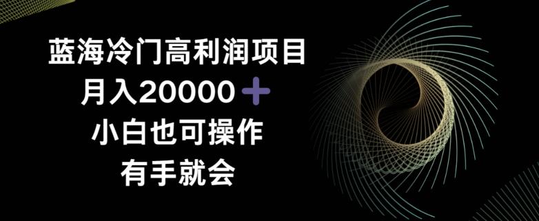 蓝海冷门高利润项目月入2000，小白也可操作有手就会-大熊网创
