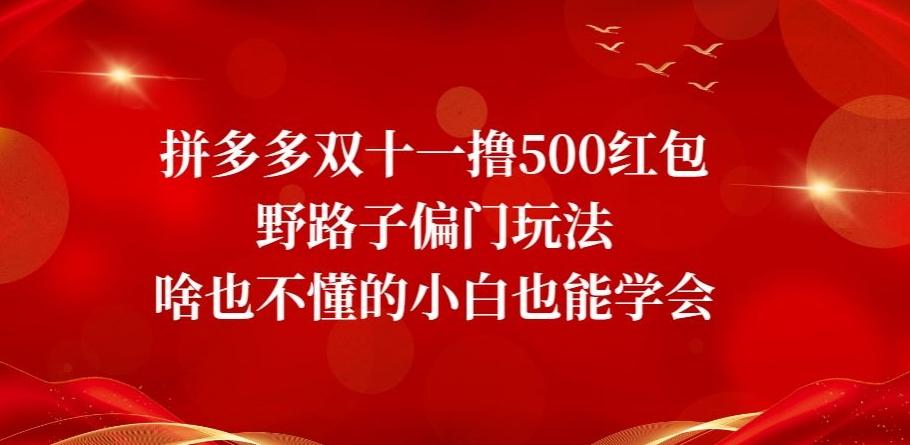 拼多多双十一撸500红包野路子偏门玩法，啥也不懂的小白也能学会【揭秘】-大熊网创