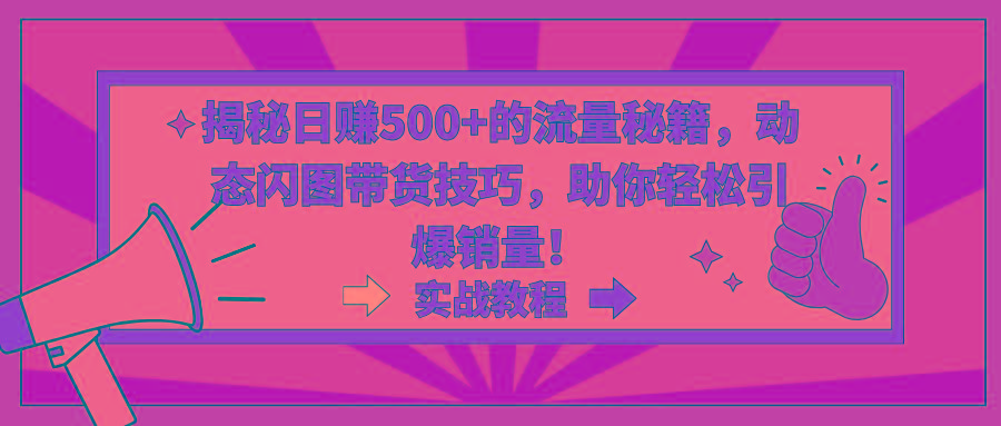 揭秘日赚500+的流量秘籍，动态闪图带货技巧，助你轻松引爆销量！-大熊网创