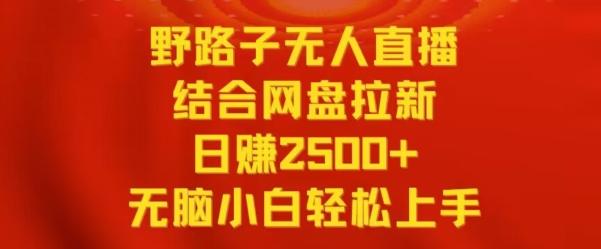 野路子无人直播结合网盘拉新，日赚2500+，小白无脑轻松上手【揭秘】-大熊网创